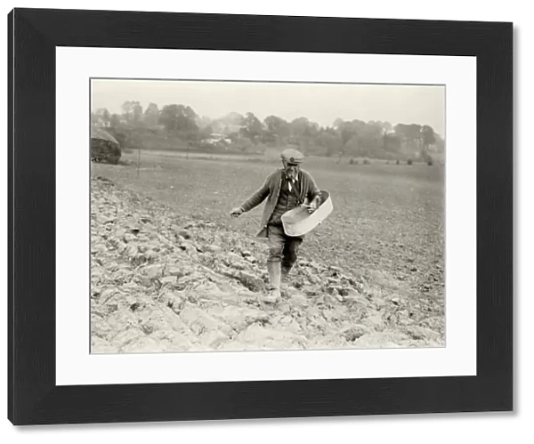 Farm hand sowing winter wheat at Bury, Sussex, November 1932