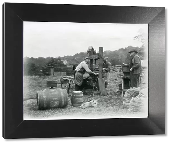 Cider making at Hillgrove, Sussex, November 1933