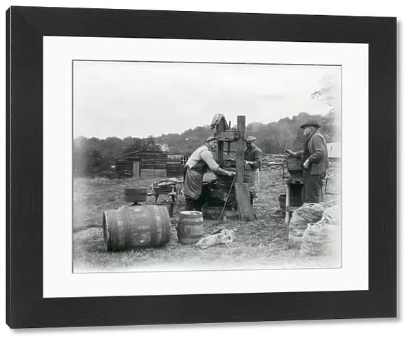 Cider making at Hillgrove, Sussex, November 1933