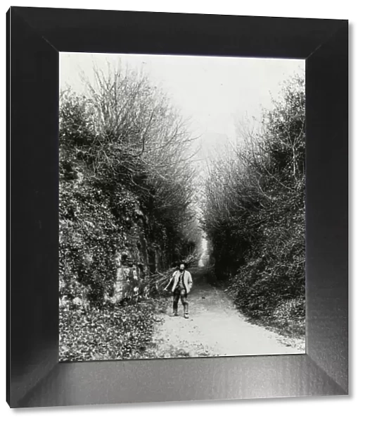 Man carrying a bundle of sticks down Hungers Lane, Petworth, 1950