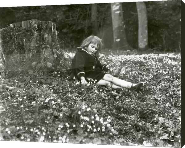 Little girl picking snowdrops in a wood, 1931