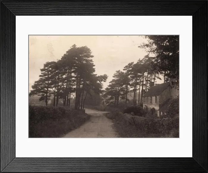 Framed Print : A street in Sedlescombe, 1908 Framed Print : A street in Sedlescombe, 1908