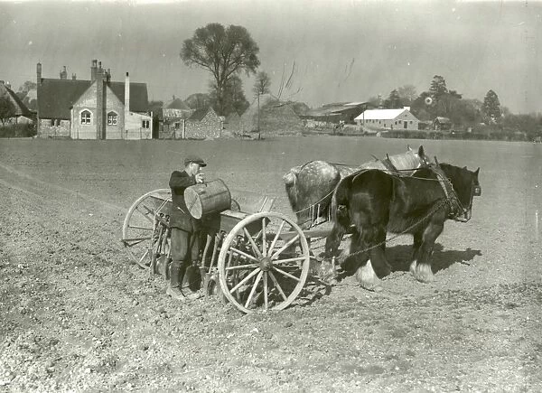 Barley drilling at Amberley - 15 March 1944