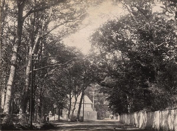 Bognor: the road leading to Bersted Lodge, 1902