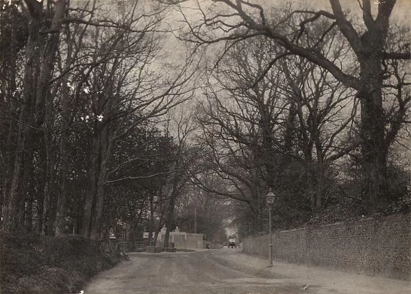 Bognor: road leading to Bersted Lodges gates, 1898