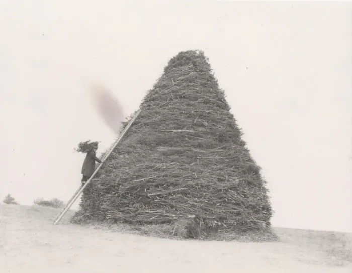 Framed Print : Bonfire on Bury Hill [1929]