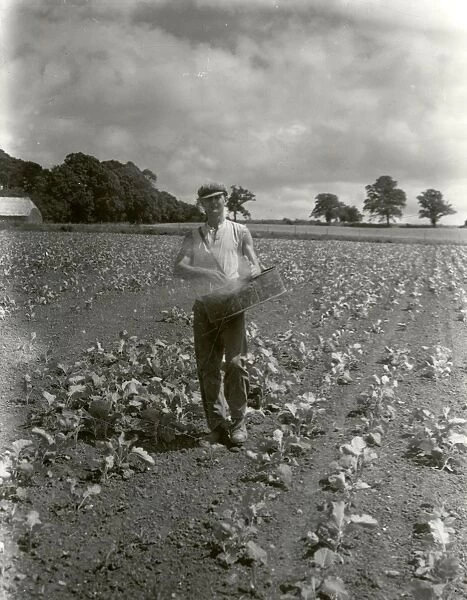 Broadcasting Artificials on Kale in Lodsworth District - July 1944