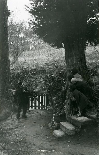 Children hiding from elderly man whilst gathering holly, December 1935