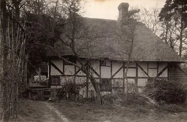 Cottage in Fittleworth, 1910