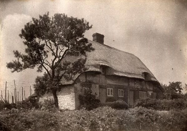 Cottage in West Harting, 1910