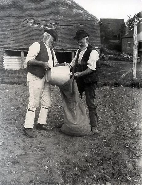 Two country gentlemen bagging potatoes