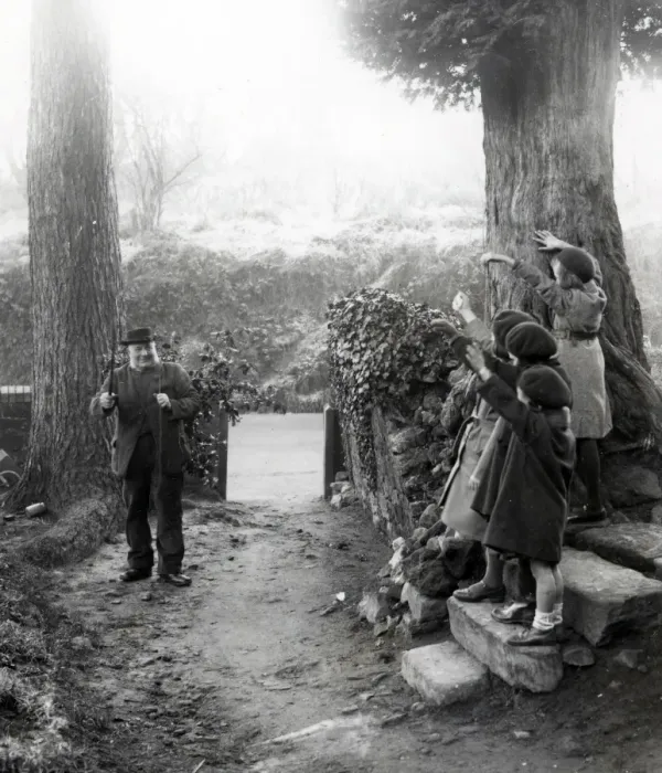 Framed Print : Country scene in holly woods at Upperton, Sussex, December 1935 Framed Print : Country scene in holly woods at Upperton, Sussex, December 1935