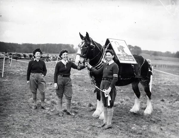 Cowdray Horse Show - 19 April 1946