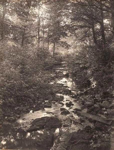 Crowborough Warren, 1906
