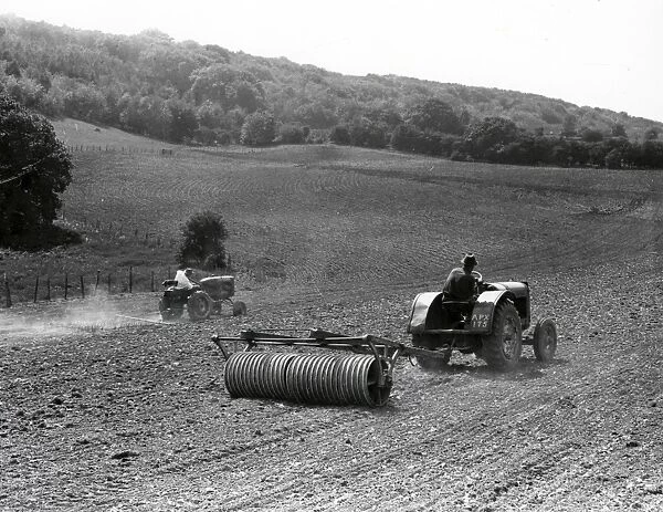 Cultivating downland under the