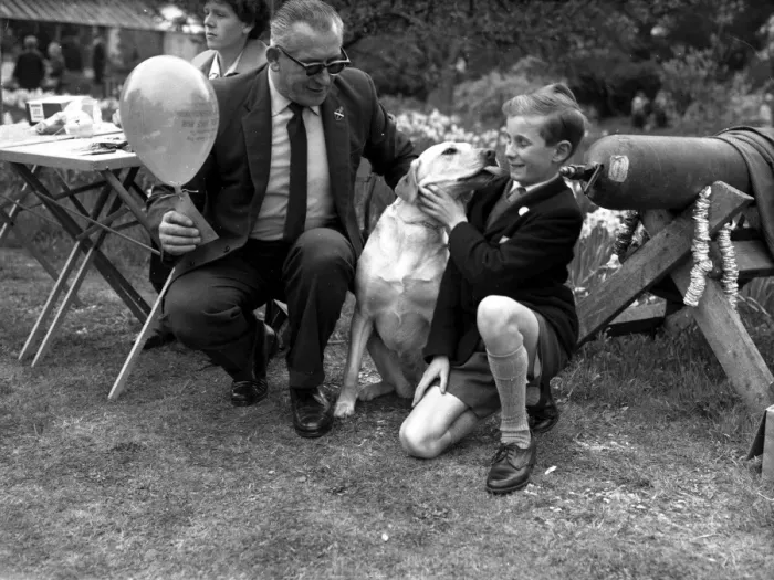 Framed Print : Dogs for the Blind, 1965 Framed Print : Dogs for the Blind, 1965