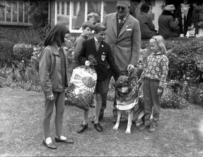 Framed Print : Dogs for the Blind, 1965 Framed Print : Dogs for the Blind, 1965