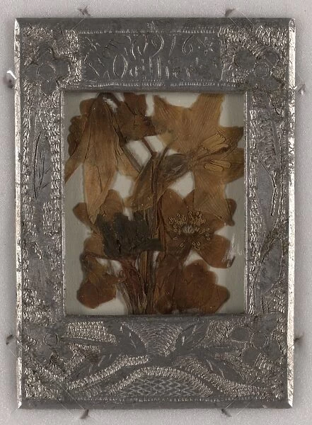 Dried flowers from the Front enclosed in a frame made from the metal of a German water bottle