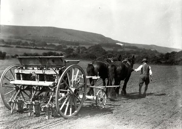 Drilling mangels beneath the South Downs at Storrington, 1928