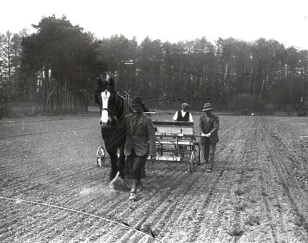 Drilling Sugar Beet at Burton - March 1939