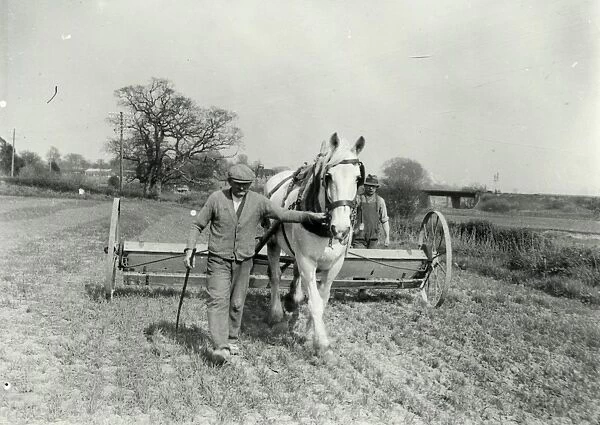 Drilling Wheat at Pulborough - 1939