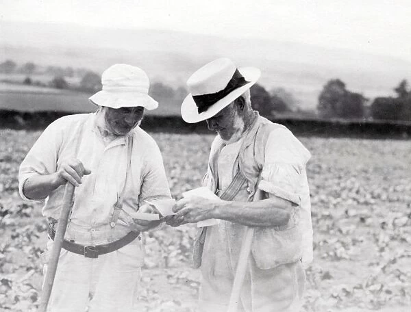 Two elderly men in a field in Sussex