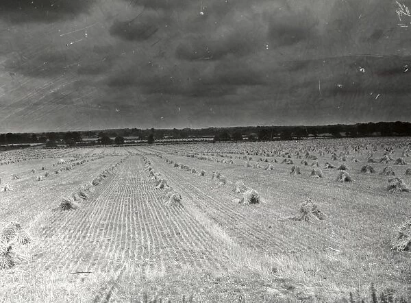Farmland at Harvest time - August 1943