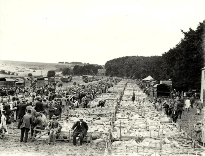 Framed Print : Findon Fair, September 1932 Framed Print : Findon Fair, September 1932