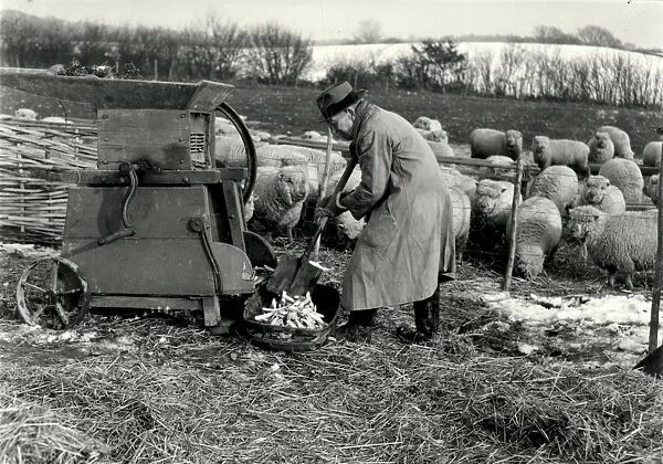 Fitzleroi Farm. Fittleworth - March 1946