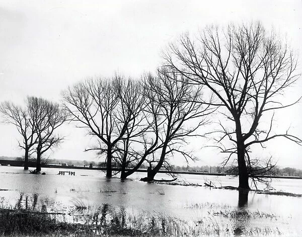 Floods at Pulborough - December 1938