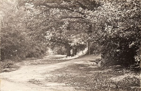 Forest Row, 1906. A shady country lane near Forest Row.