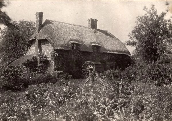 Forest Side: cottage, 1910