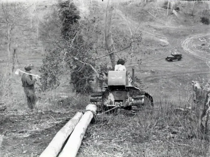 Framed Print : Forestry Work at Lavington - February 1944 Framed Print : Forestry Work at Lavington - February 1944