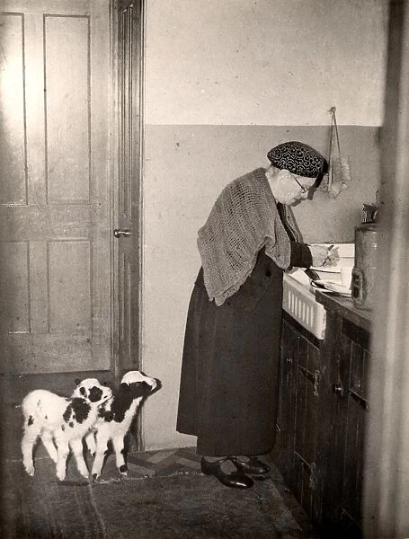 Garland Old Lady at Sink with Two Lambs