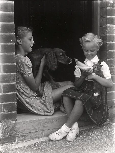 Two girls playing with a dog and a kitten, 1949