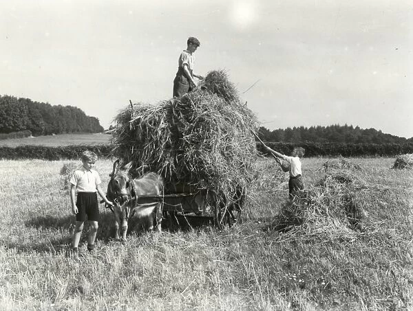 Harvest Helpers - September 1944