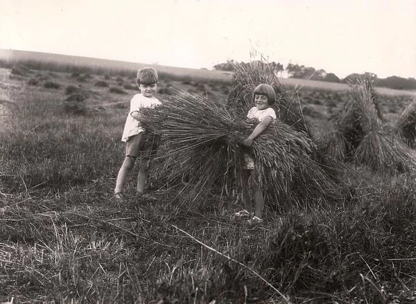 Harvesting, 1929. Children helping at Frog Farm, Petworth