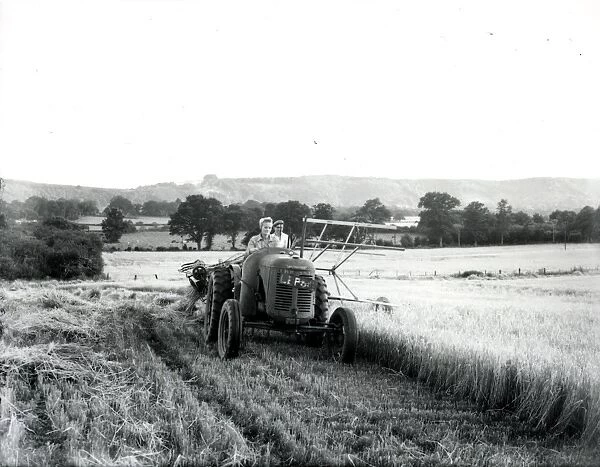 Harvesting barley at Ducton Common Farm