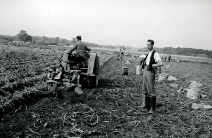 Framed Print : Harvesting the potato crop at Bridgelands Farm, Iping, near Midhurst Framed Print : Harvesting the potato crop at Bridgelands Farm, Iping, near Midhurst