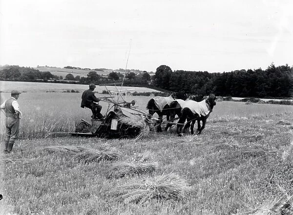 Harvesting at Stopham - July 1939