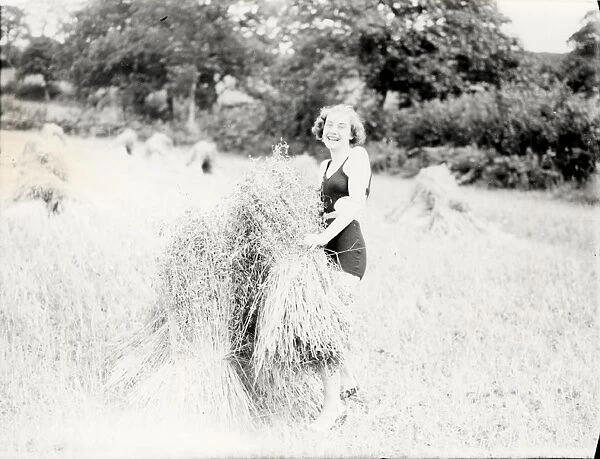 Haymaking, August 1938