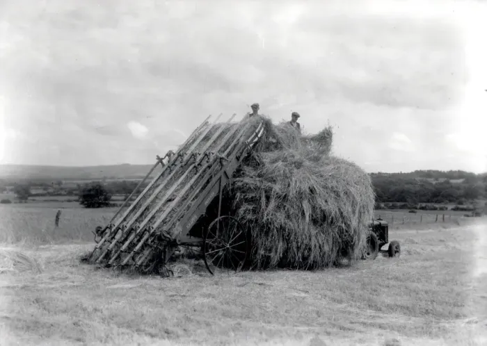 Framed Print : Haymaking at Fittleworth - June 1946