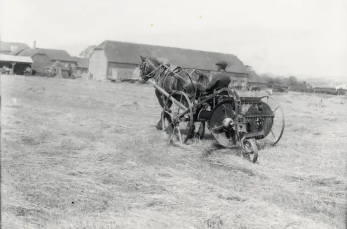 Framed Print : Haymaking on the West Sussex County Councils demonstration farm at Chichester Framed Print : Haymaking on the West Sussex County Councils demonstration farm at Chichester
