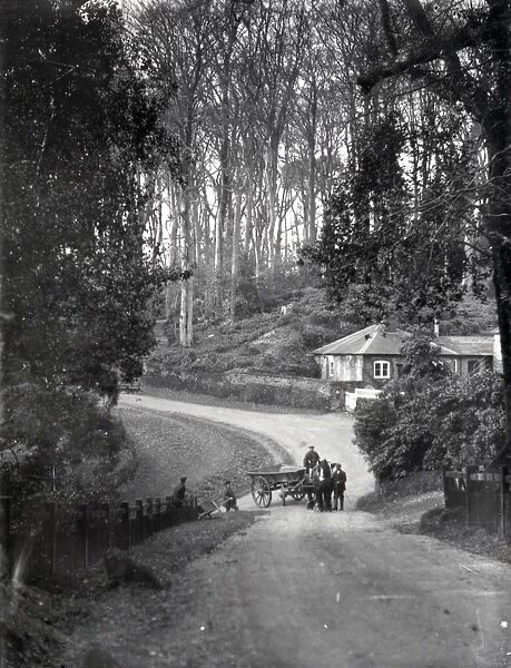 Horse and wagon in a country lane in Dean, Sussex, January 1935