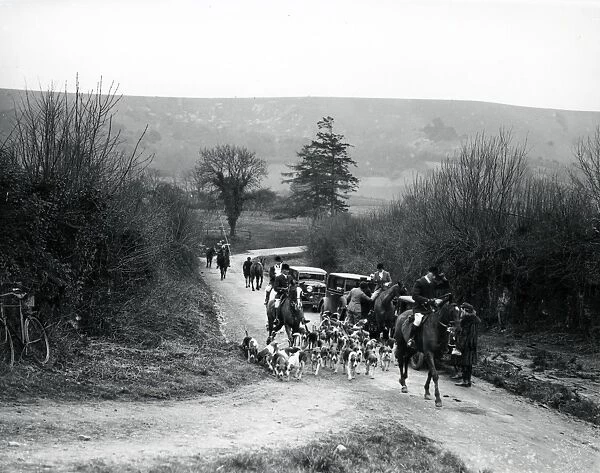 Hunting scene with dogs, horses and cars in Sussex