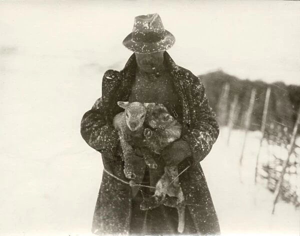 Lambs and shepherd in snow at Soames Farm, Petworth, 1932