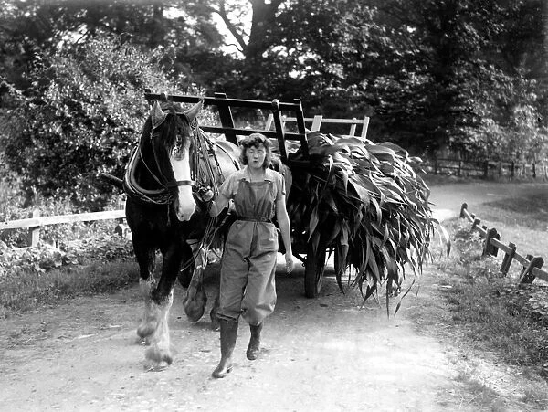 Land Girl at Cowdray, September 1939