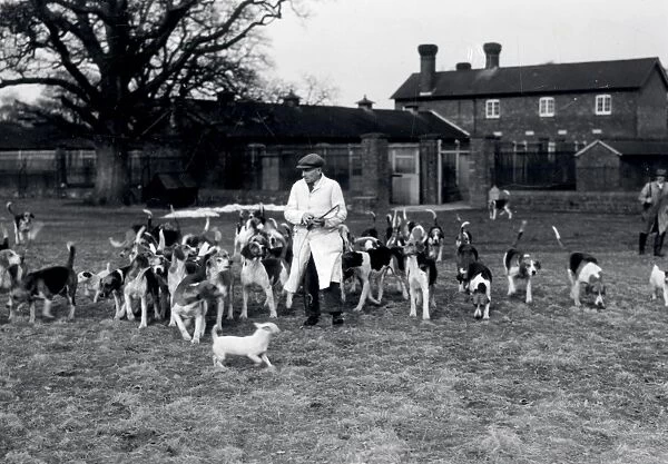 Leconfield Hounds - 3 March 1947