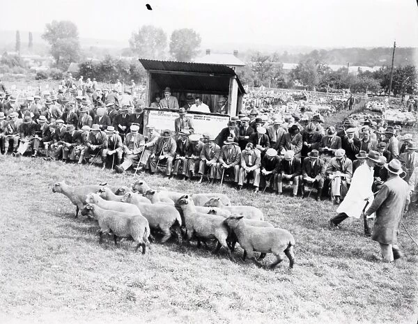 Leominster Sheep Sale - August 1938