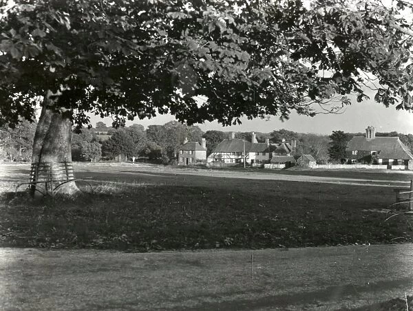 Lurgashall Village Green - November 1946